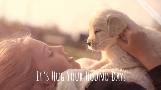 Hug Your Hound Day Video Template