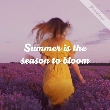 Summer Wisdom   Video Template
