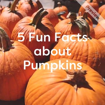 Pumpkin Day Video Template