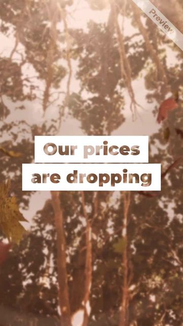 Fall Sale Video Template