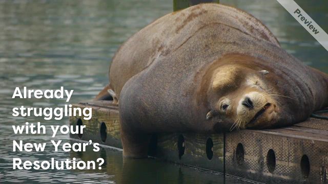 New Year Reset | Wellness Wednesday #3 Video Template