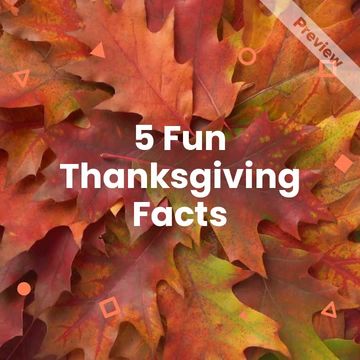 Fun Facts | Thanksgiving Video Template