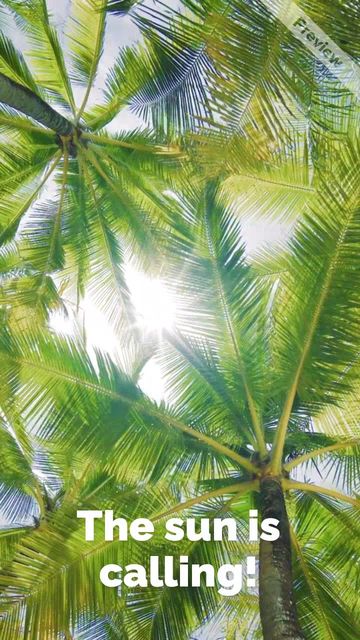 Endless Summer in Winter | Travel Agency Video Template