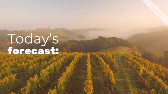 Wine Day | May 25 Video Template