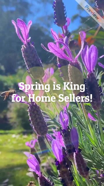 Spring into Home Selling| Real Estate  Video Template