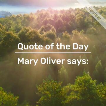 Mary Oliver | Quote of the Day Video Template