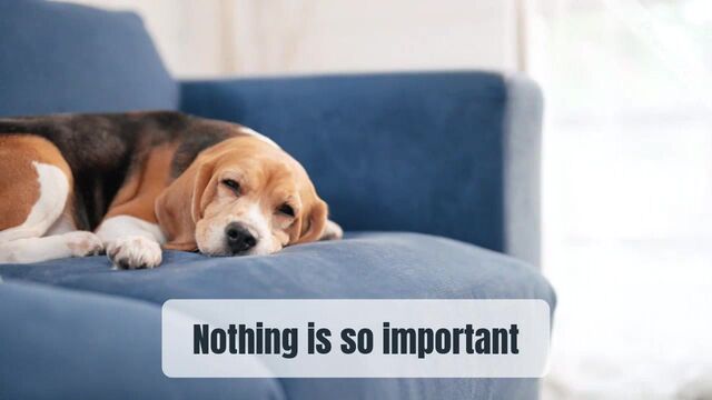 Relax Now Work Later | Lazy Saturday  Video Template