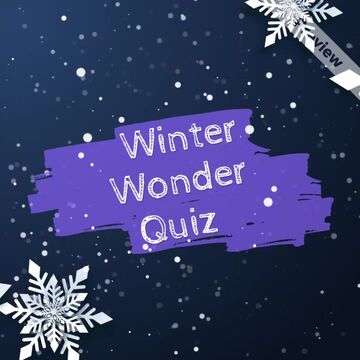 Winter Wonder Quiz Video Template