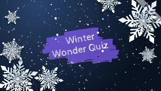 Winter Wonder Quiz Video Template