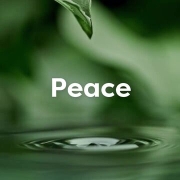 A Little Peace Goes a Long Way Video Template