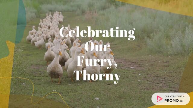 World Animal Day: Support Our Furry Friends! Video Template