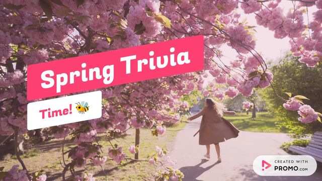 Trivia: Spring Edition Video Template