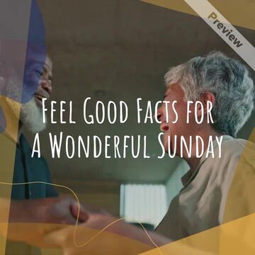 Feel Good Sunday Video Template