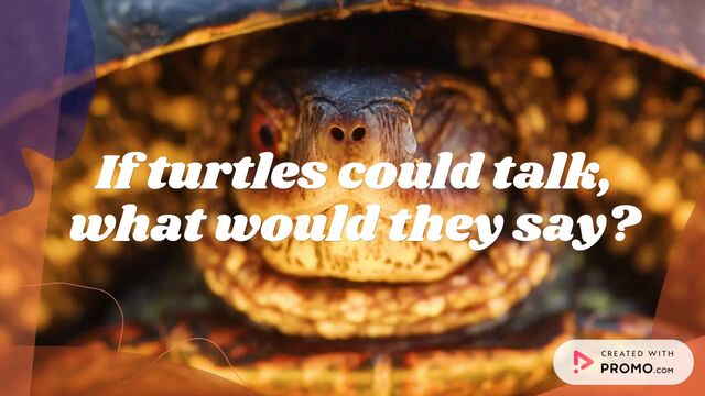 World Turtle Day Video Template