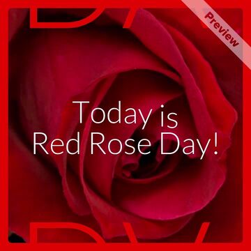 Red Rose Day