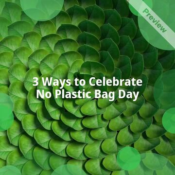 No Plastic Bag Day